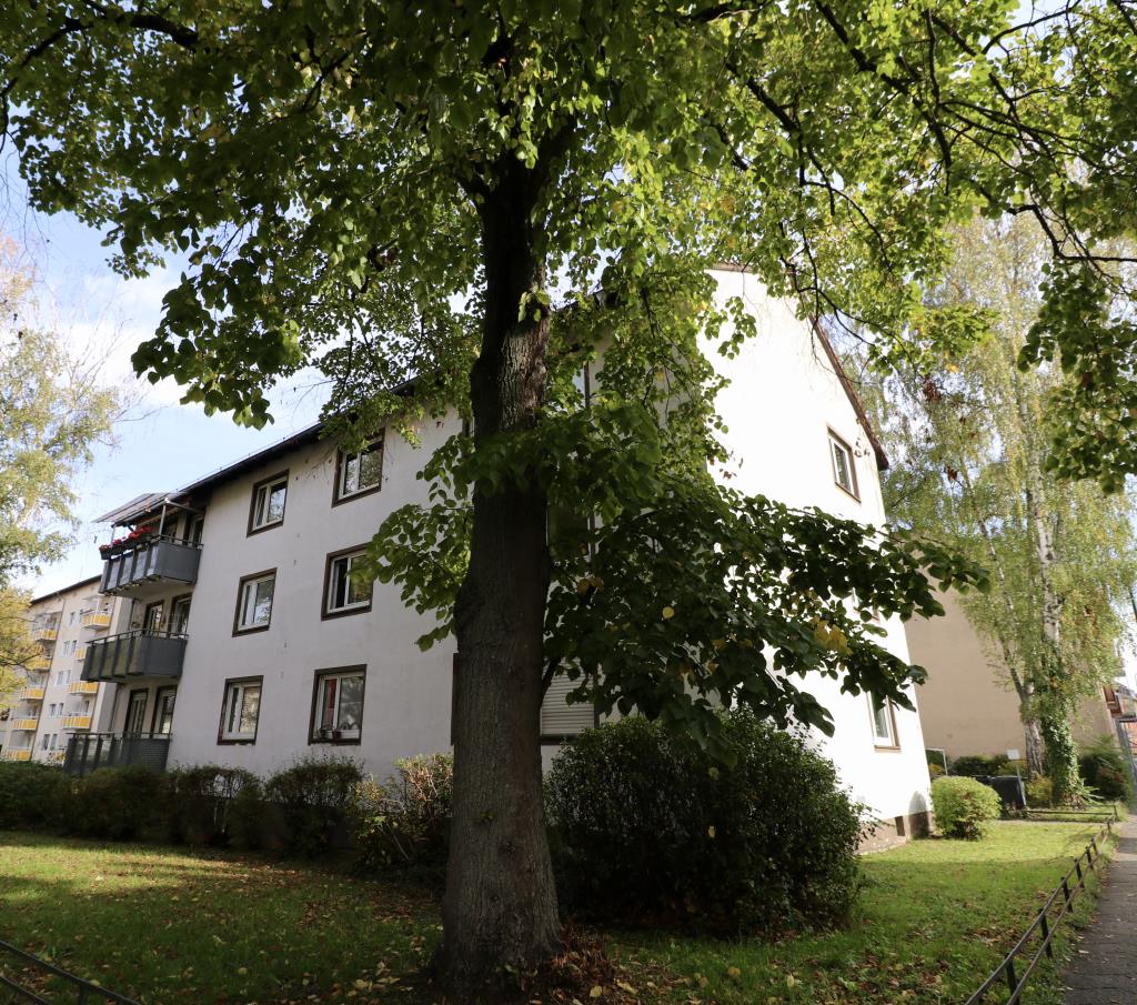 Gemütliche 1-Zimmer-Wohnung in der Darmstädter Innenstadt! - Foto 3