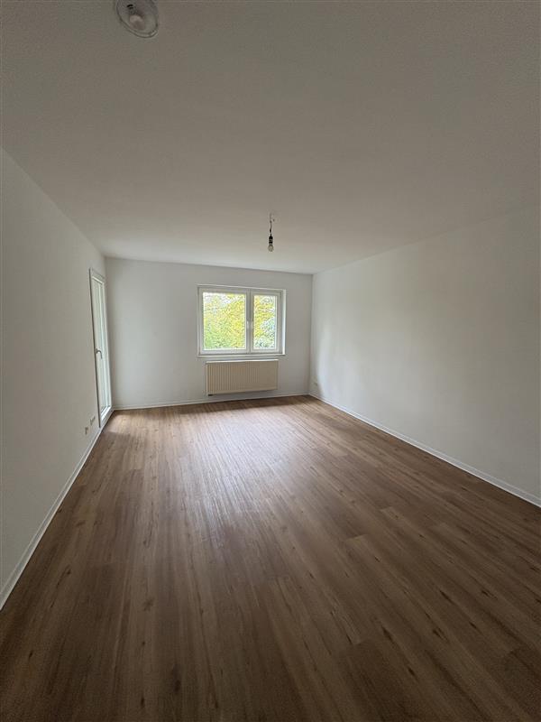 Geräumige 3-Zimmer-Wohnung im ruhigen Groß-Umstadt ab sofort zu vermieten! - Foto 2